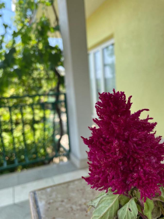 Apartments Mornar Poljica  Екстериор снимка